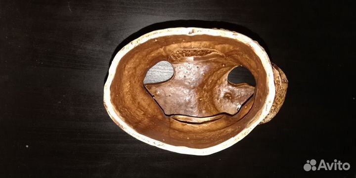 Декорация для аквариума / Островок для черепахи