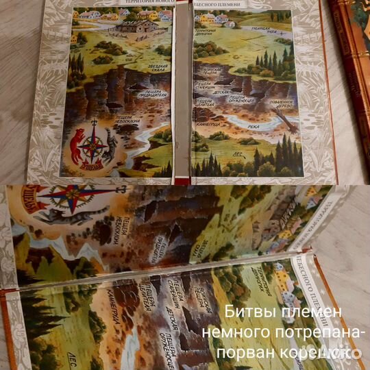 Книги коты воители