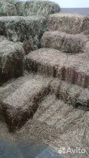 Сено в тюках