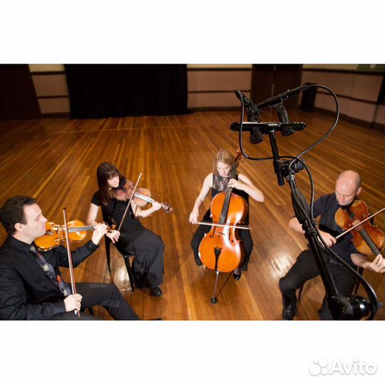 Комплект микрофонов Rode M5-MP