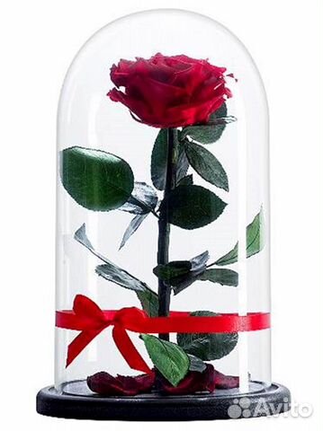 Роза в колбе