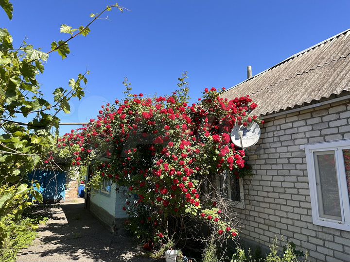 Дом 80 м² на участке 10 сот.