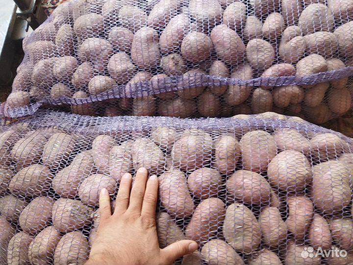 Картошка с доставкой