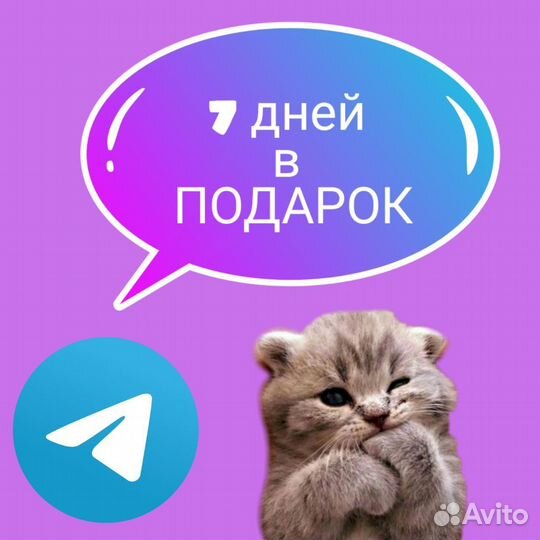 Ведение телеграм канала