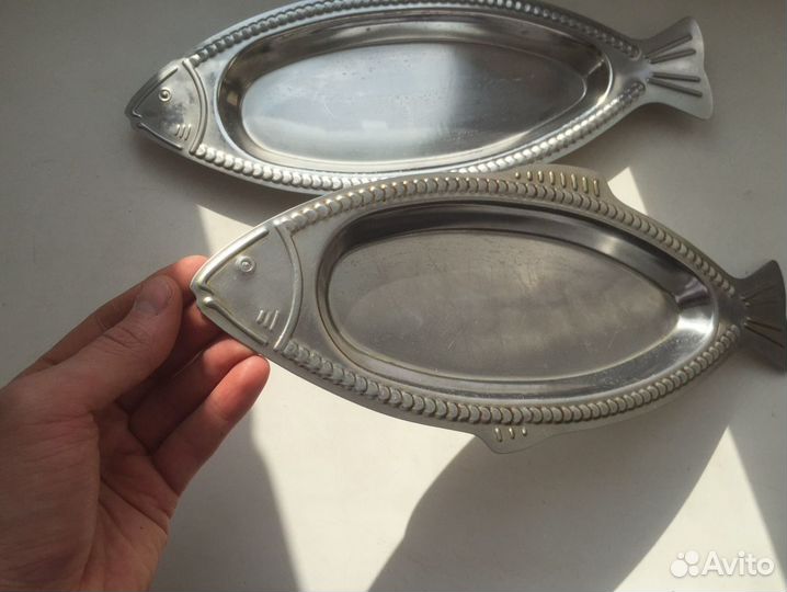 Рыбы селедочницы