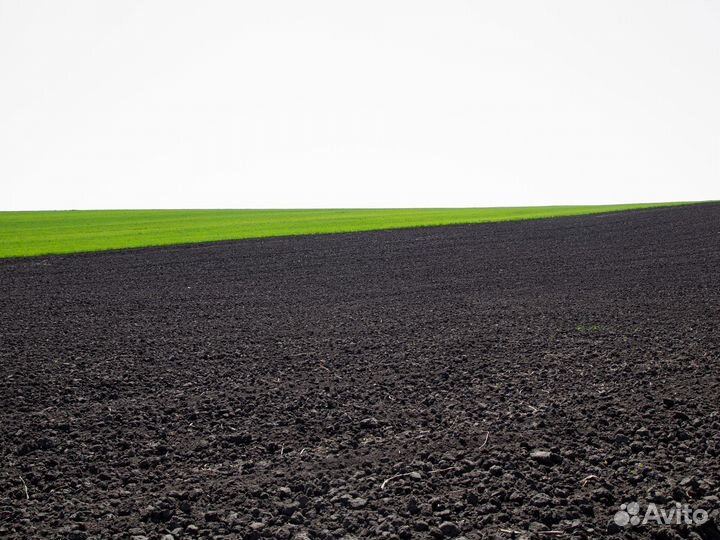 Чернозём для огорода грядок газона Доставка