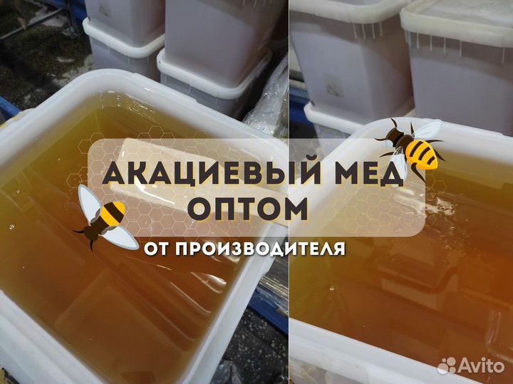 Свежий мед акация оптом