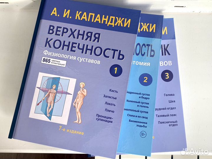 Физиология суставов/Функциональная анатомия