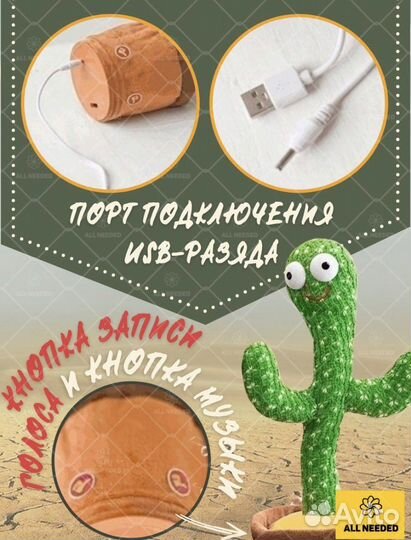 Танцующий кактус