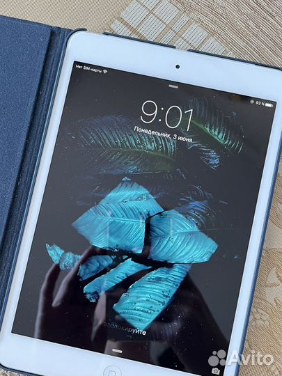 iPad mini 9.3.6