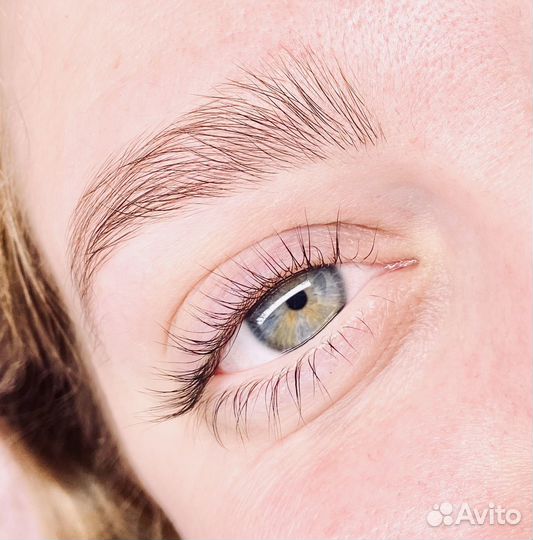 Ресницы и брови
