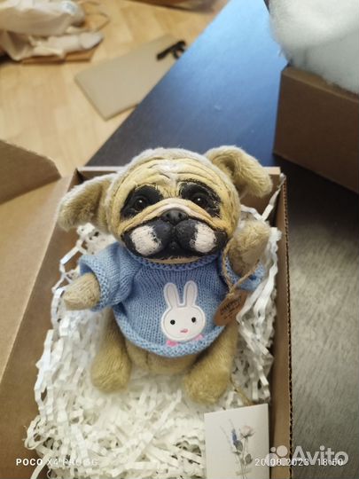 Собаки мопс и бульдог