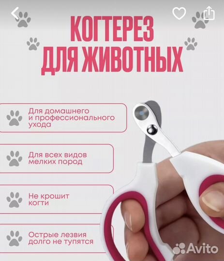 Лоток для котят