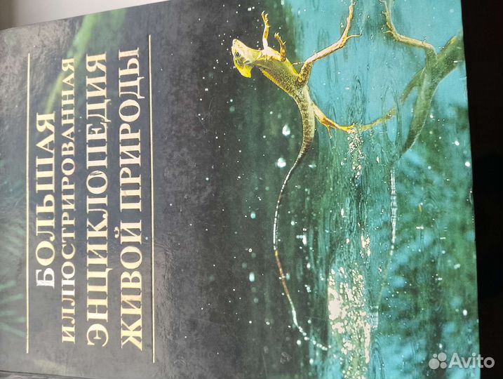 Познавательная книга для детей,большая