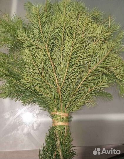 Продам веники пихтовые