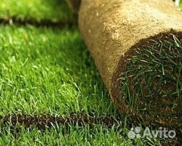 Рулонный газонУкладка Рулонного газонаГазон от про