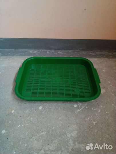 Товары для кошек