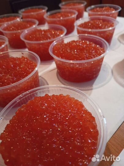 Красная икра 2023 горбуша