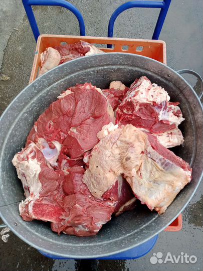 Мясо баранина, говядина на парное мясо Халяль