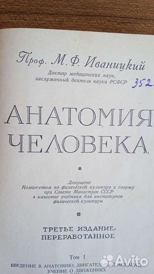 Анатомия человека