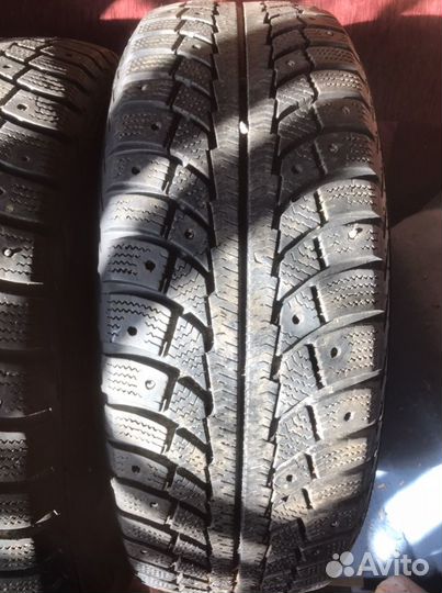 Gislaved Nord Frost 5 195/65 R15