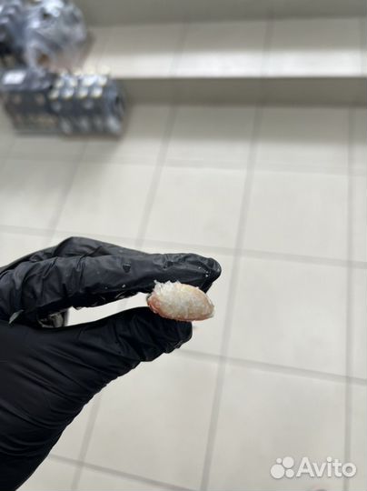 Клешни краба стригуна