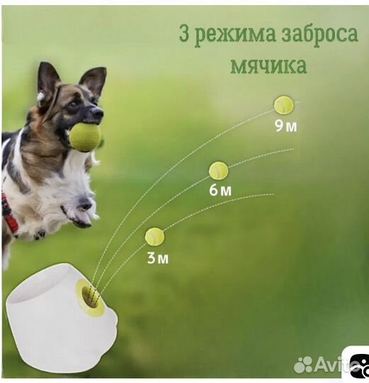 Автоматическая катапульта мячей для собак