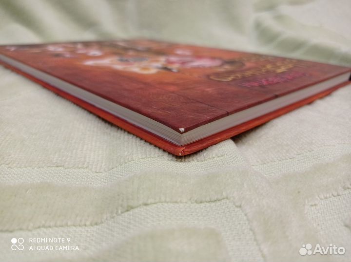 Мартынко, Шергин, илл. Трубин