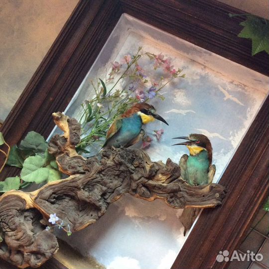 Панно 3d «Щурки». Охотничьи трофеи