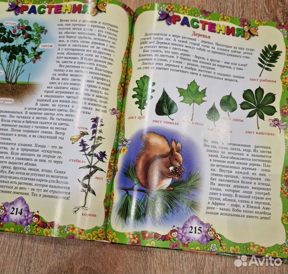 Детская энциклопедия