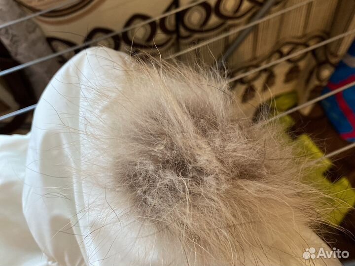 Конверт на выписку зимний