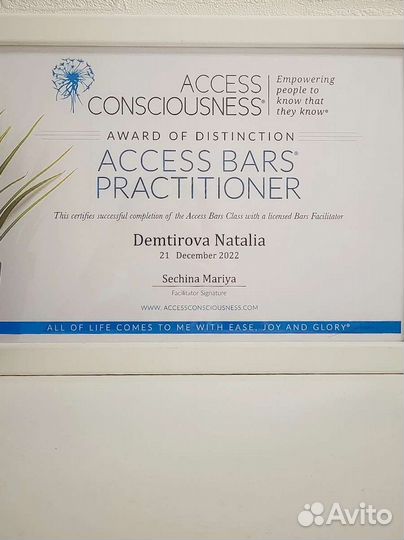 Access Bars Access Facelift