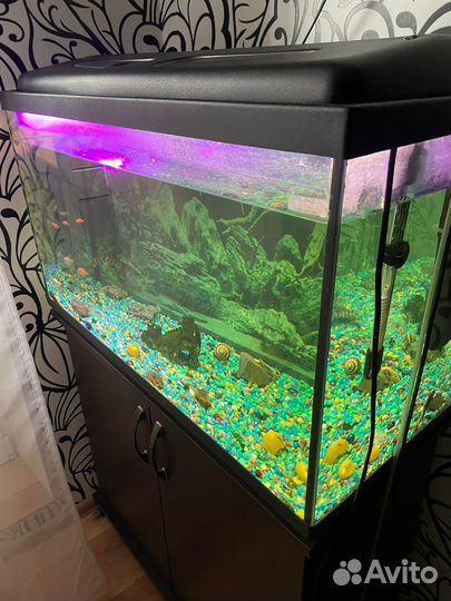 Аквариум