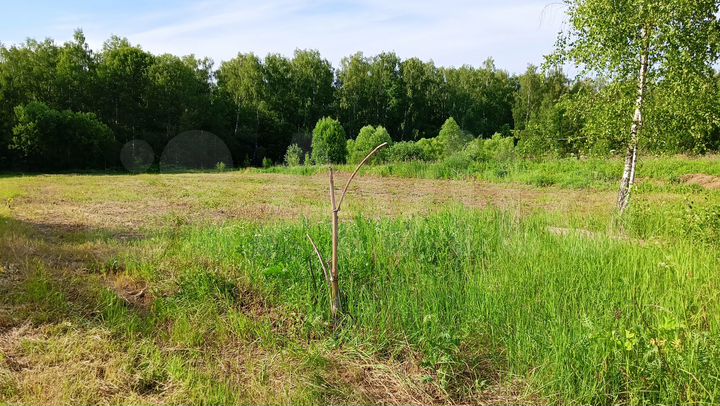 Участок 30 сот. (ИЖС)