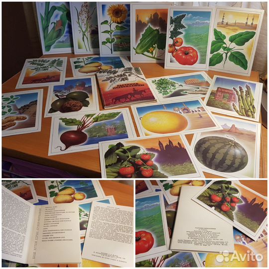 Открытки СССР о растениях