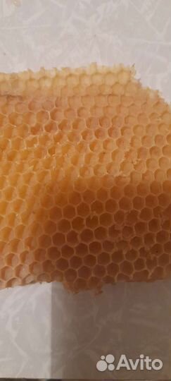 Вощина с мёдом