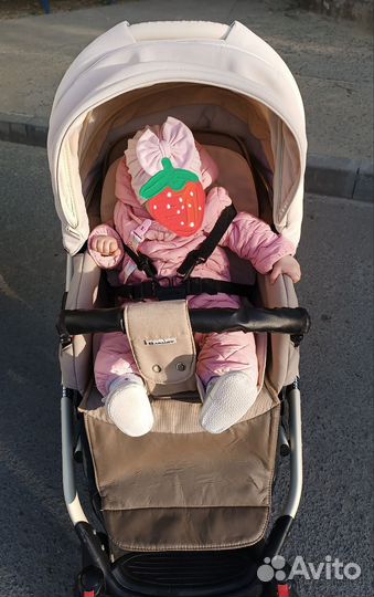 Adamex Gloria модульная коляска