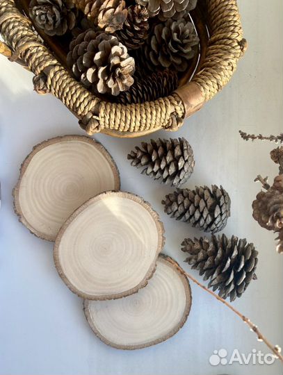 Спилы дерева