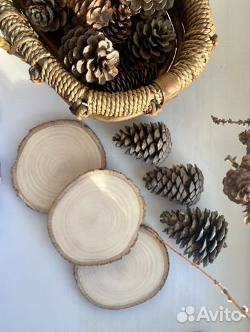 Спилы дерева