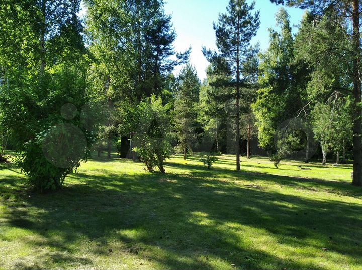 Участок 40 сот. (СНТ, ДНП)