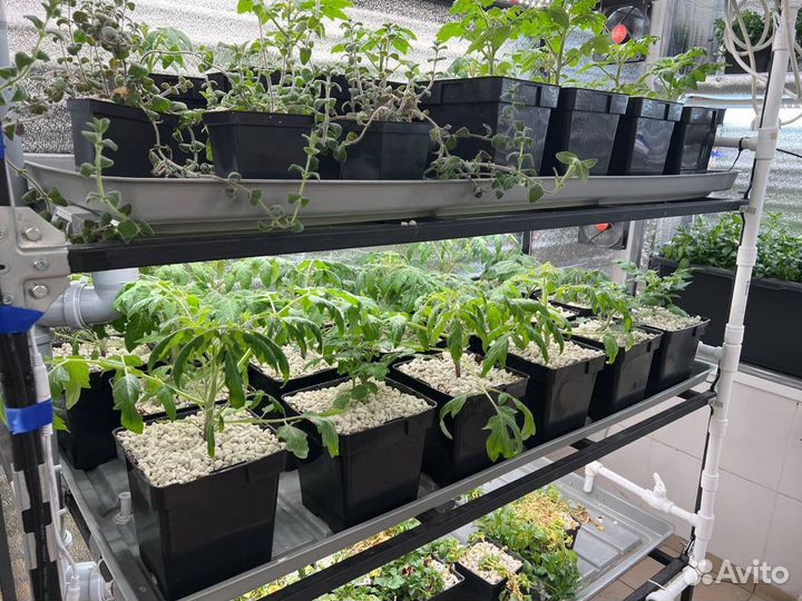 Начни зарабатывать на своей ситиферме