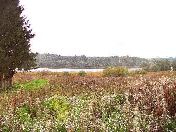 Участок 5,8 га (СНТ, ДНП)