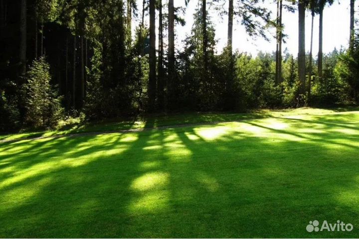 Теневой газон 10кг