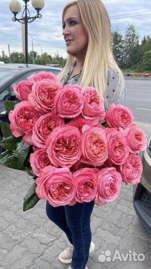 Розы Премиум класса, пионовидные. Цветы доставка