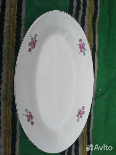 Селедочница зик