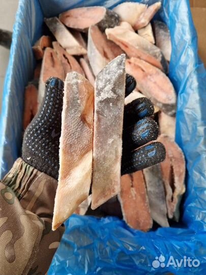 Стейк горбши зам