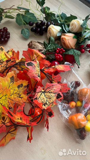 Декоративные цветы