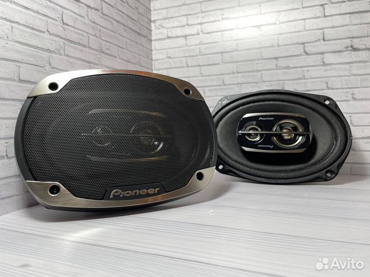 Динамики овалы pioneer Чемпионы