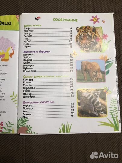 Энциклопедия животных для малышей
