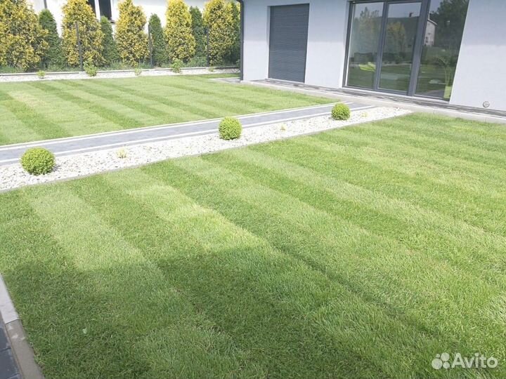 Газон рулонный, укладка газона на участке